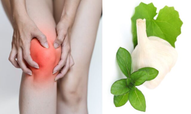 Herbs for Arthritis